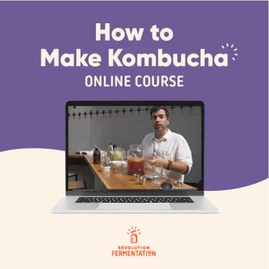 Image in laptop of man making kombucha. | MakeSauerkraut.com