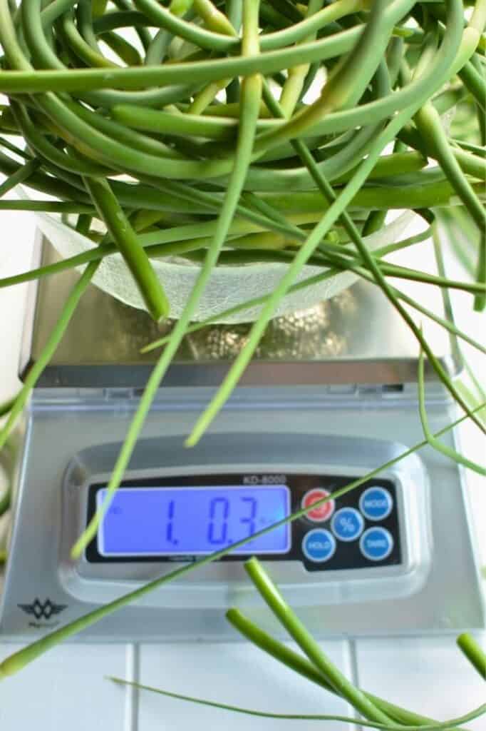 Image of MyWeigh KD 8000 digital scale. | makesauerkraut.com