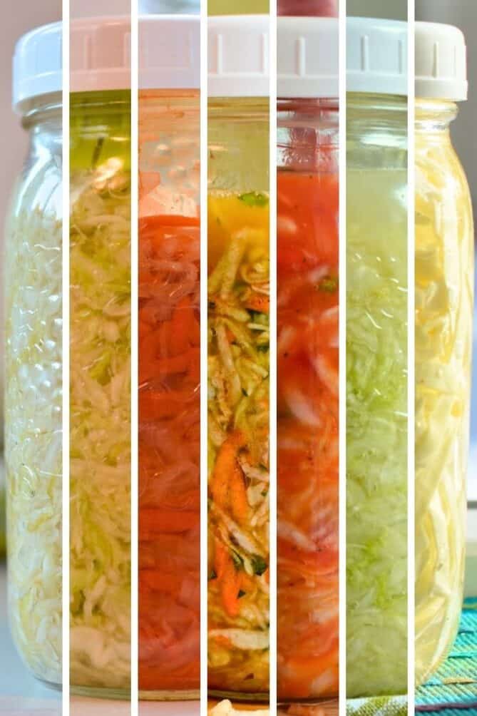 Pieces of jars with different kind of sauerkraut to make it loo like one jar. | makesauerkraut.com