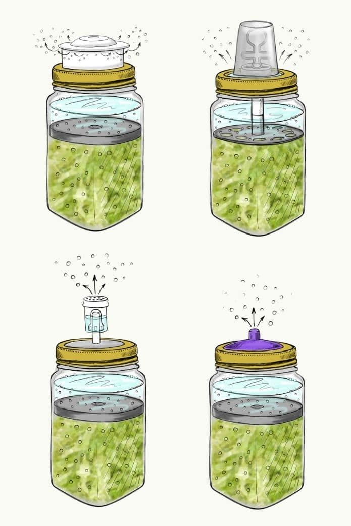 fermentation lids