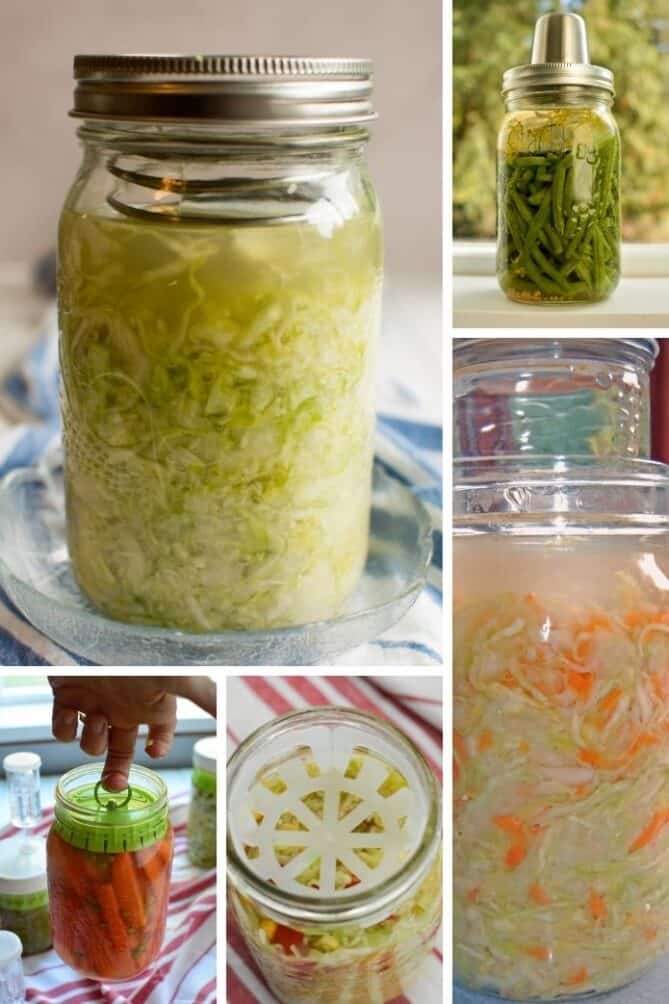 Fermentation weights to keep your ferment below the brine. | makesauerkraut.com