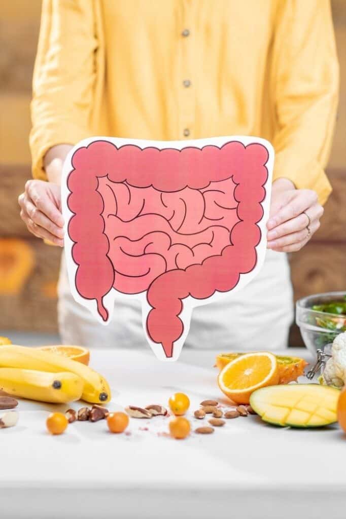 A woman holding up a drawn image of a gut behind a table of food. | makesauerkraut.com