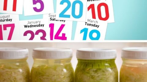 A calendar and a few jars of sauerkraut. | makesauerkraut.com