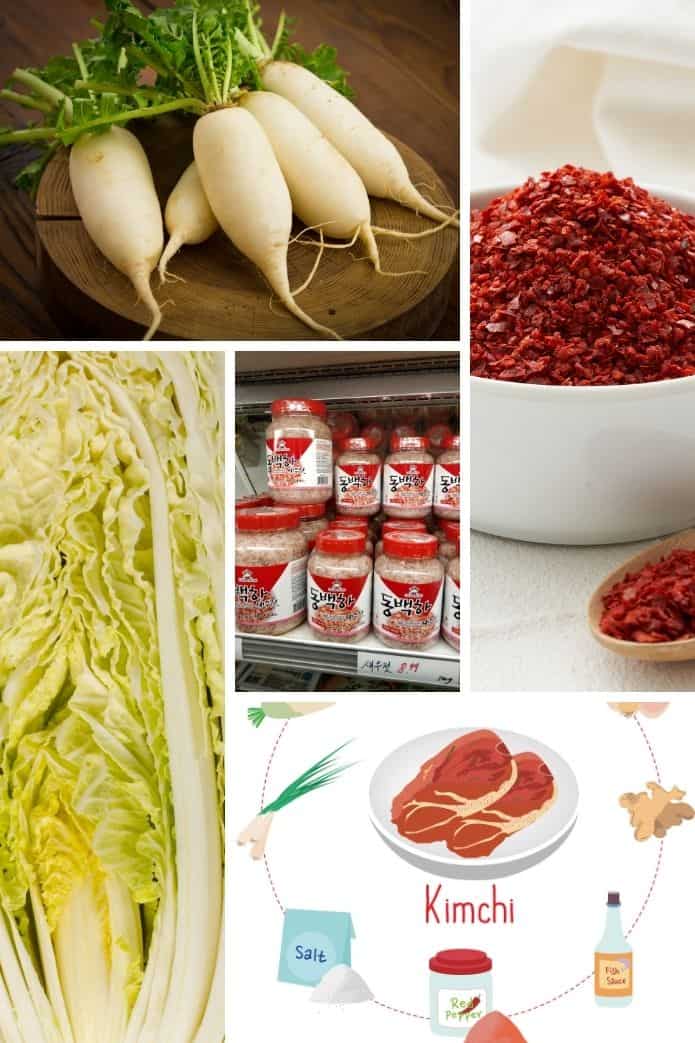 kimchi ingredients Stocking your kimchi pantry: napa cabbage, garlic, ginger, fish sauce, gochugaru, salt, onions, radish. | MakeSauerkraut.com