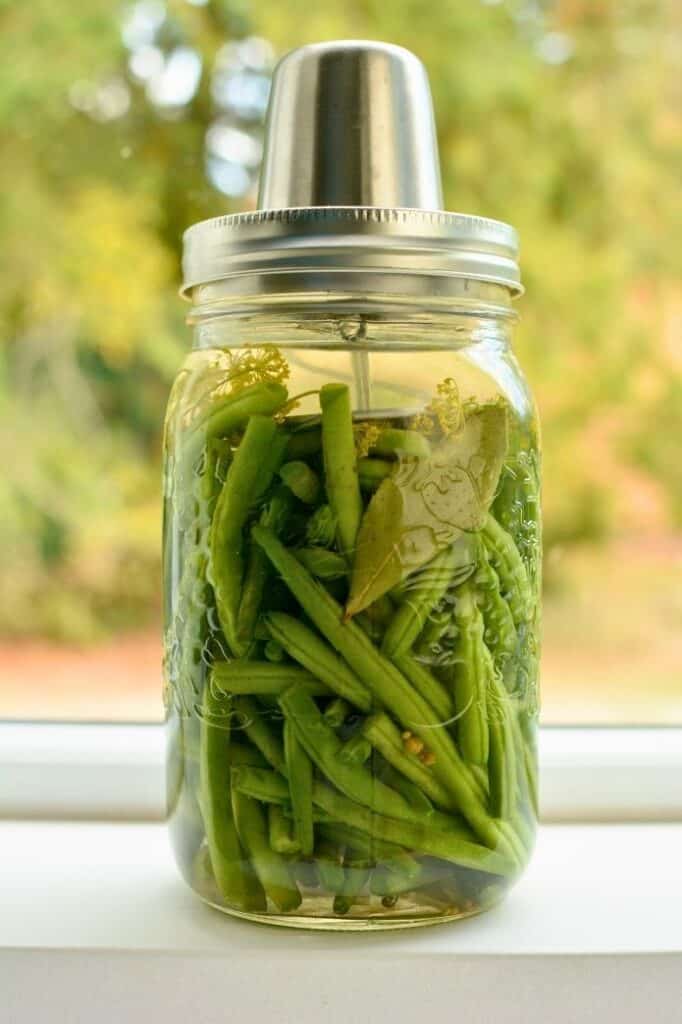 Green beans in a jar with Kraut Source Fermentation Lid. | makesauerkraut.com