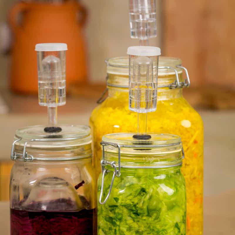 Escabeche fermentation summit Registraion Page