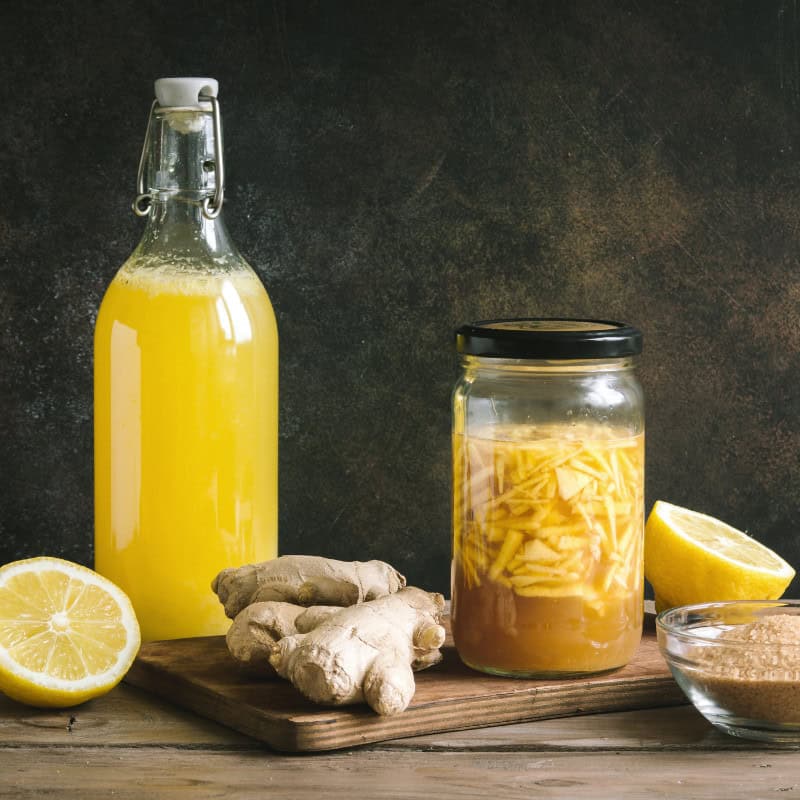 Ginger Bug Sodas fermentation summit Registraion Page