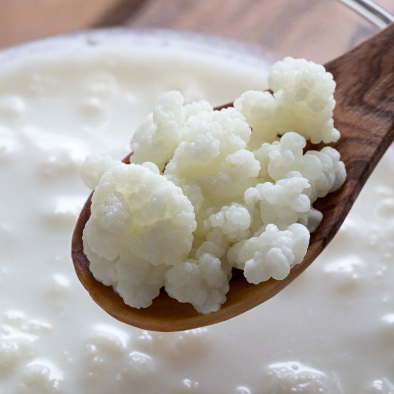 Kefir Bread fermentation summit Registraion Page