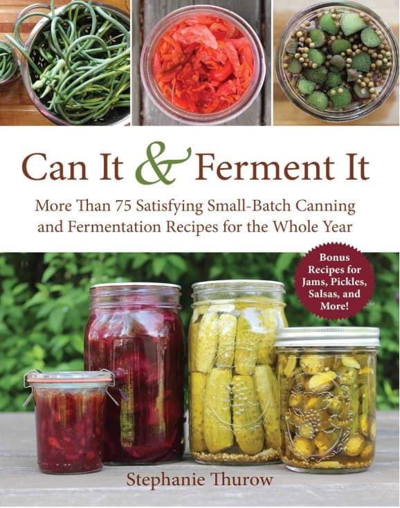 Stephanie Thurow book.jpg