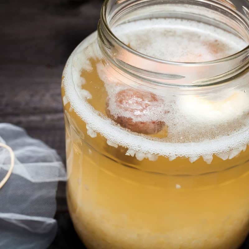 Water Kefir Soda fermentation summit Registraion Page